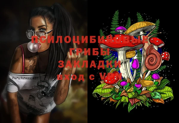 эйфоретик Баксан