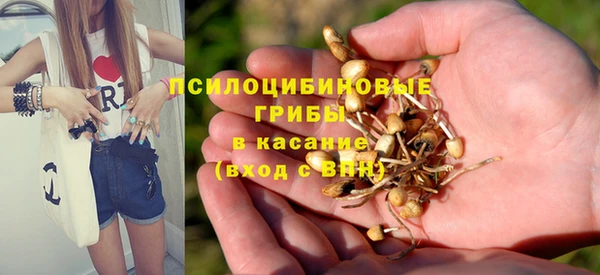 крисы Балахна